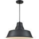 R Series 1 Light 17 inch Satin Black Indoor Pendant Ceiling Light